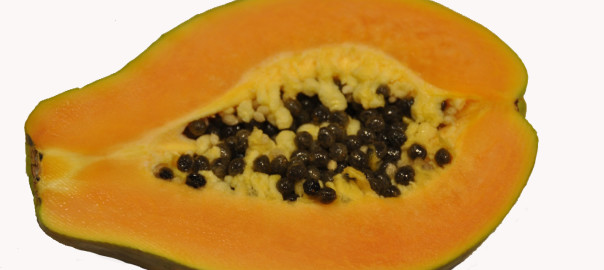 Papaya fermentata: elisir di lunga vita o geniale trovata commerciale?