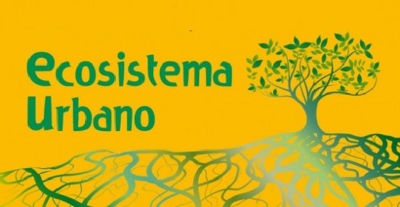 Le eco-performance dei capoluoghi di provincia italiani. Rapporto di Legambiente, Ambiente Italia e Sole 24 Ore
