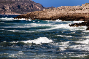 Al secondo anno di attività il Progetto “Caulerpa cylindracea – Isole Egadi”