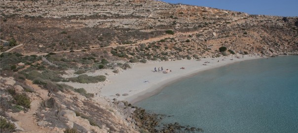 Progetto “Porto l’Orto a Lampedusa”