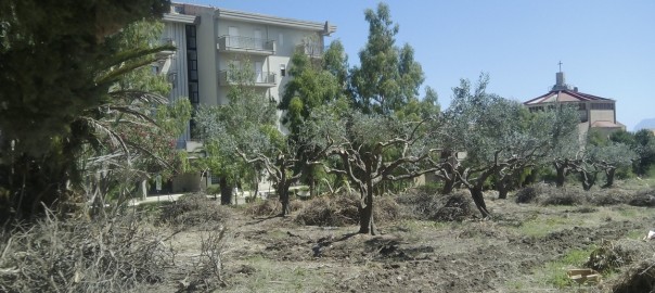 Agricoltura sociale in un terreno sequestrato alla mafia
