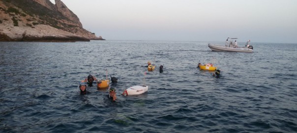 Si è svolta la circumnavigazione notturna a nuoto dell’isola di Levanzo
