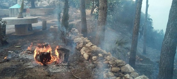 Incendi con danni incalcolabili anche sul Monte Inici