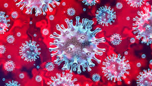 Un team multidisciplinare ha condotto importante ricerca sulla relazione tra Coronavirus e clima