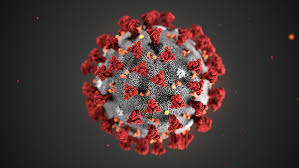 Coronavirus la situazione a Trapani e provincia. Aggiornamento di lunedì 23 novembre 2020