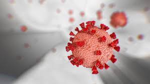 Coronavirus la situazione a Trapani e provincia. Aggiornamento di mercoledì 23 dicembre 2020