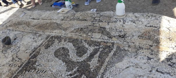 Gli interventi di restauro sull’isola di Mozia (Tp) restituiscono interessanti parti del pavimento in ciottoli bicromi