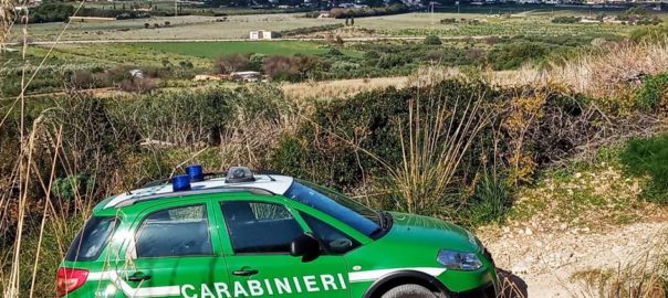 Controlli dei carabinieri forestali del Distaccamento Cites di Trapani a tutela dei siti protetti