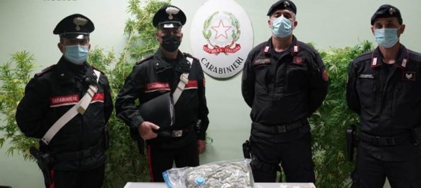 Due giovani arrestati dai carabinieri: detenevano 1 kg. di droga, piante e soldi in contanti