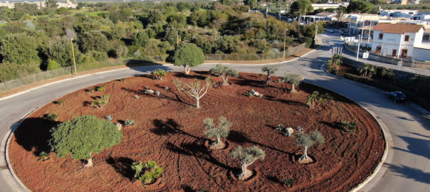 Continua il restauro del Parco archeologico di Selinunte. Pronta la nuova area di ingresso, con cicas, ulivi e agave