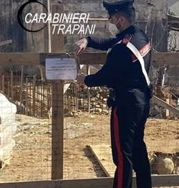 Controlli dei carabinieri sui cantieri: coniugi denunciati per lavori edili non autorizzati
