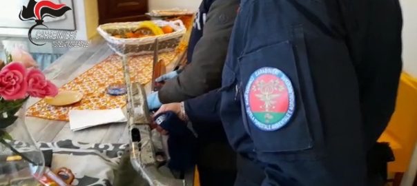Cicogna bianca uccisa a Marsala: due soggetti identificati e denunciati dai Carabinieri forestali
