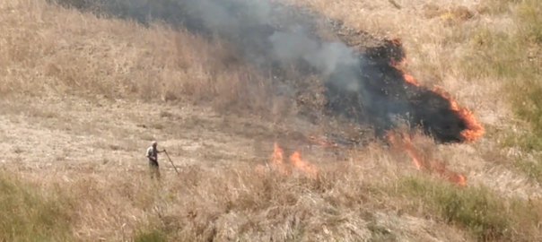 Guardie WWF scoprono e filmano un incendiario mentre appicca il fuoco nelle campagne di Sutera (CL)