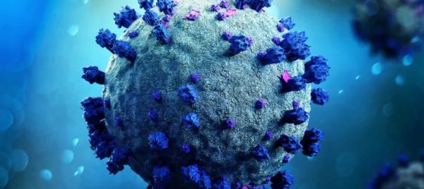 Coronavirus la situazione a Trapani e provincia. Aggiornamento di sabato 24 settembre 2022