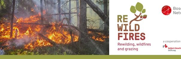 Re-Wildfires, Contrastare gli incendi boschivi con pratiche di pastorizia e rinaturalizzazione animale