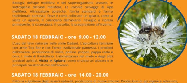 A Pantelleria un corso gratuito di Apicoltura
