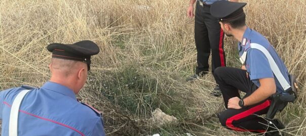 Abbandonano il figlio appena nato: due arresti dei Carabinieri per tentato infanticidio
