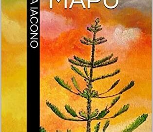 Si presenta il libro di Adriana Iacono “Wenu Mapu”