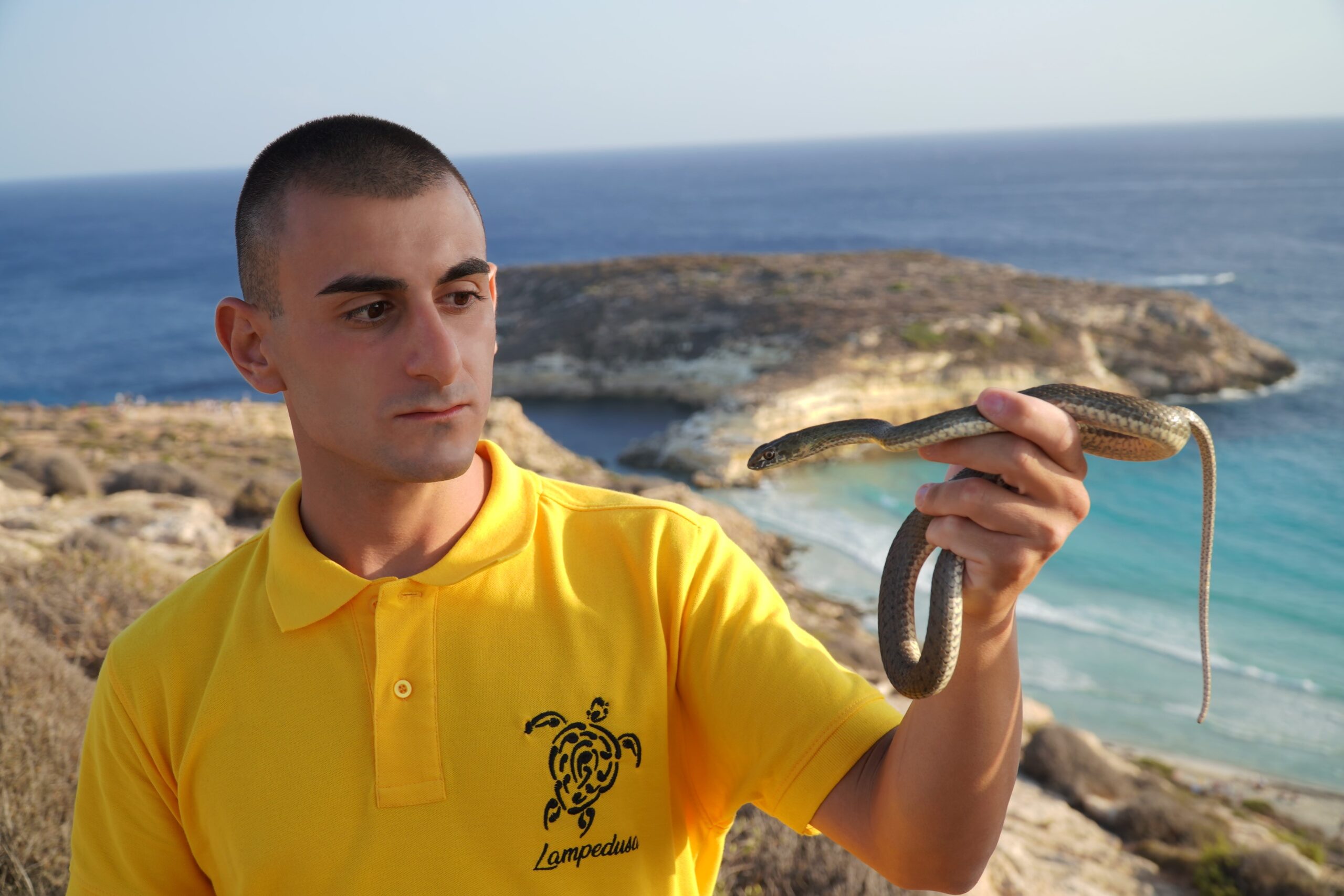 L’ambientalista Sebastian Colnaghi alla scoperta dei serpenti di Lampedusa