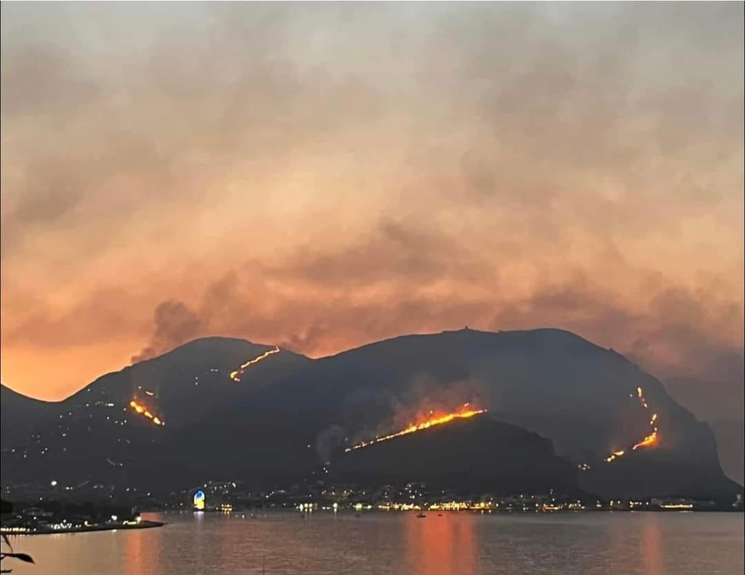 Monreale, Convegno su: “Patrimonio boschivo tra disastri ambientali e assenza di tutela” promosso da BCsicilia