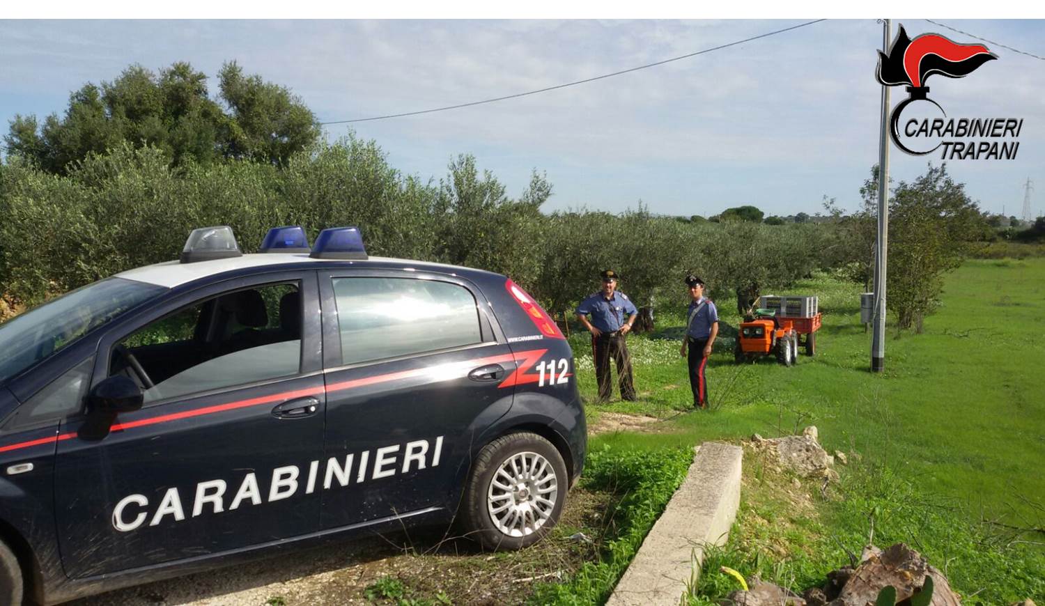 Raccoglieva olive in un terreno non di sua proprietà con sei operai in nero. Denunciata 52enne di Salemi