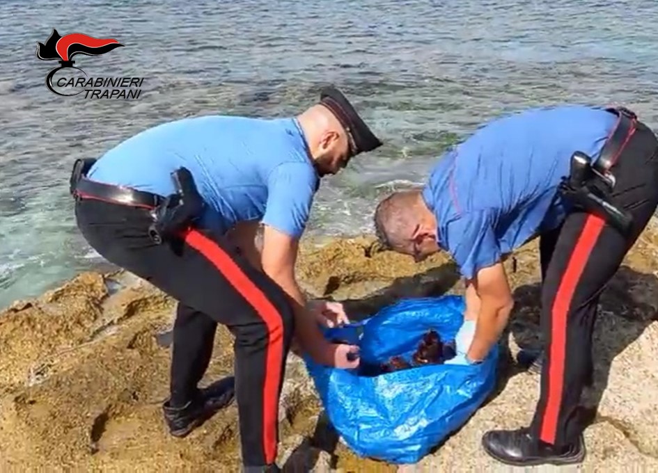 Oltre 150 ricci di mare in macchina. Denunciato favignanese