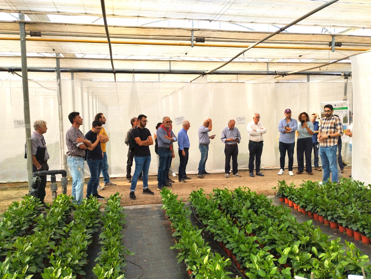 Innovazioni nelle produzioni orticole e floricole: una conferenza a Marsala nell’ambito del progetto INNORTIFLORIS